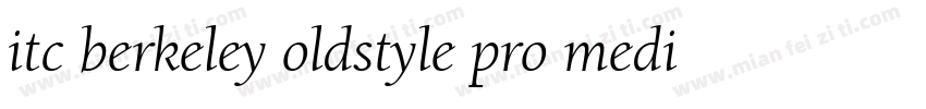 itc berkeley oldstyle pro medium字体转换